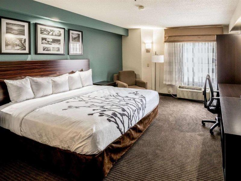 Spark By Hilton Augusta Luaran gambar
